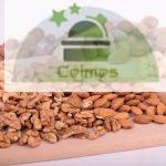 nuts, almonds, seeds