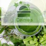 smoothie, vegetable smoothie, healthy smoothie
