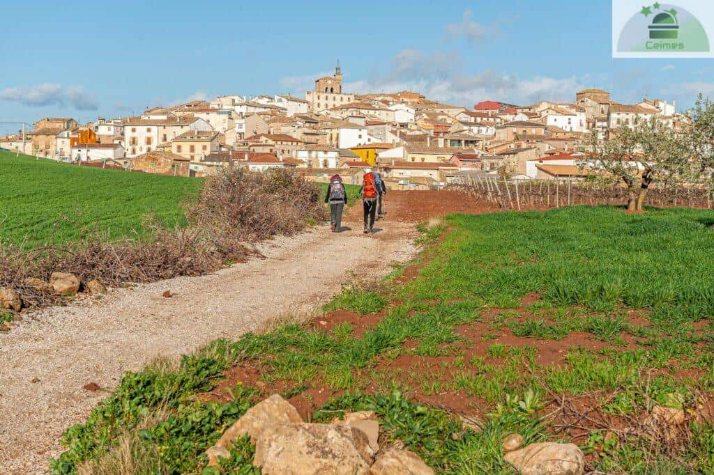 La Popularidad del Camino en Verano