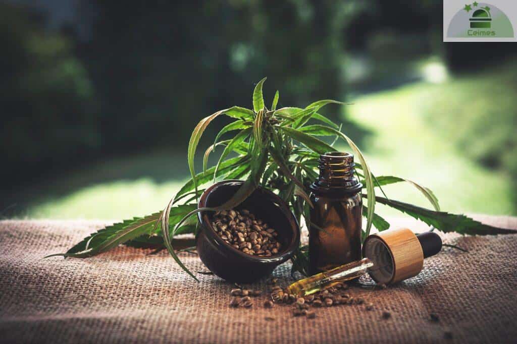 Top CBD shops para comprar aceite de CBD
